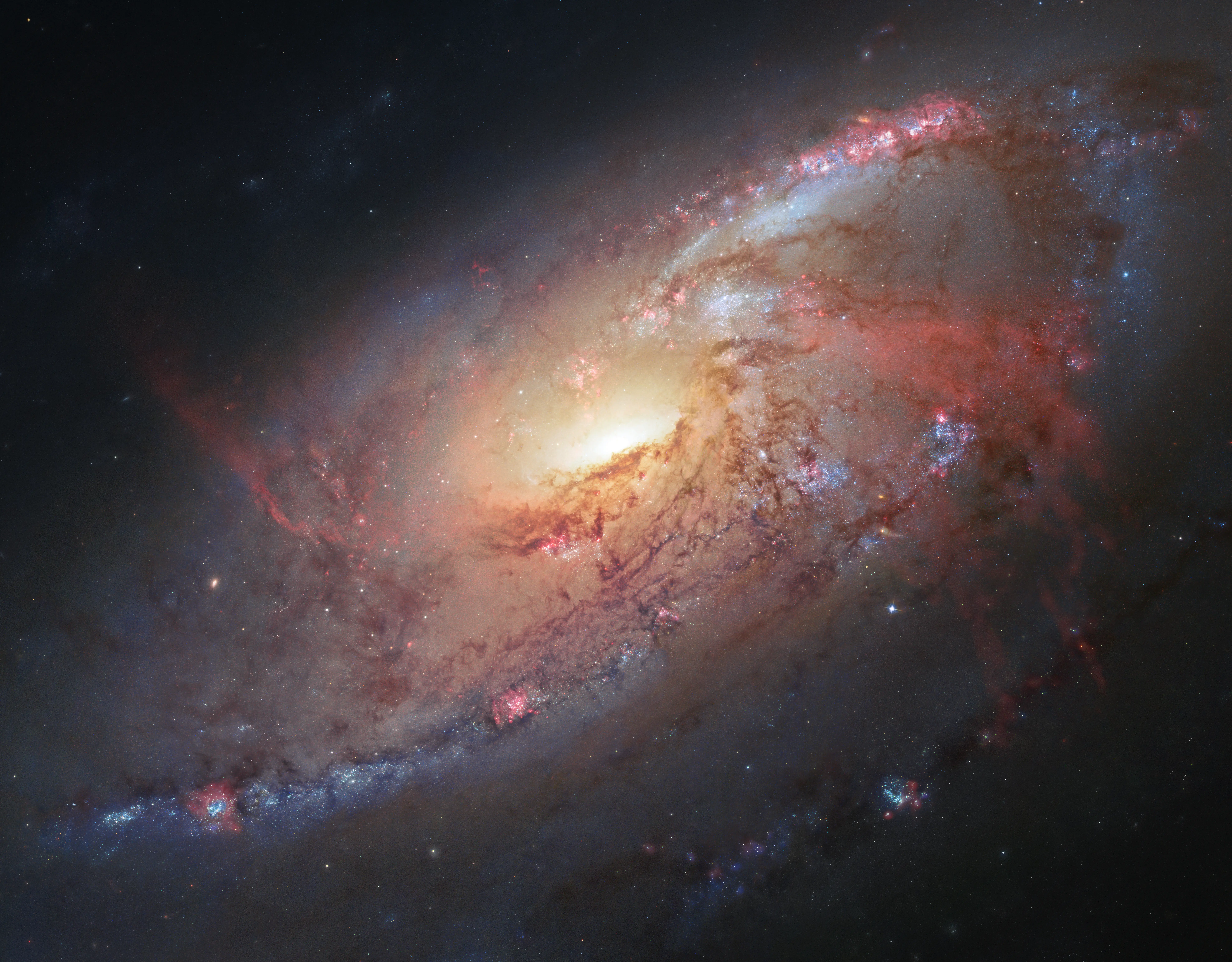 black holes