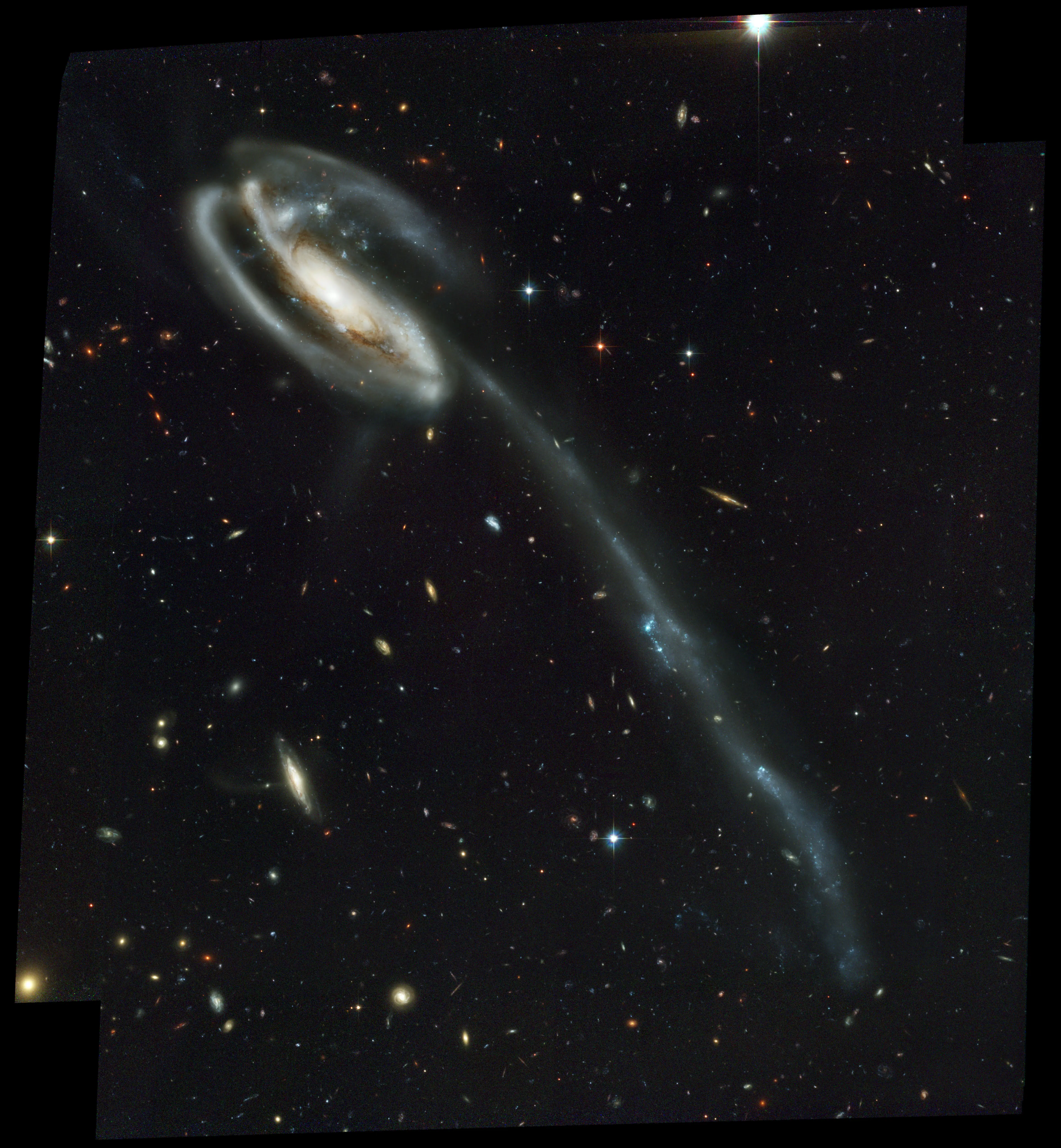 cosmos