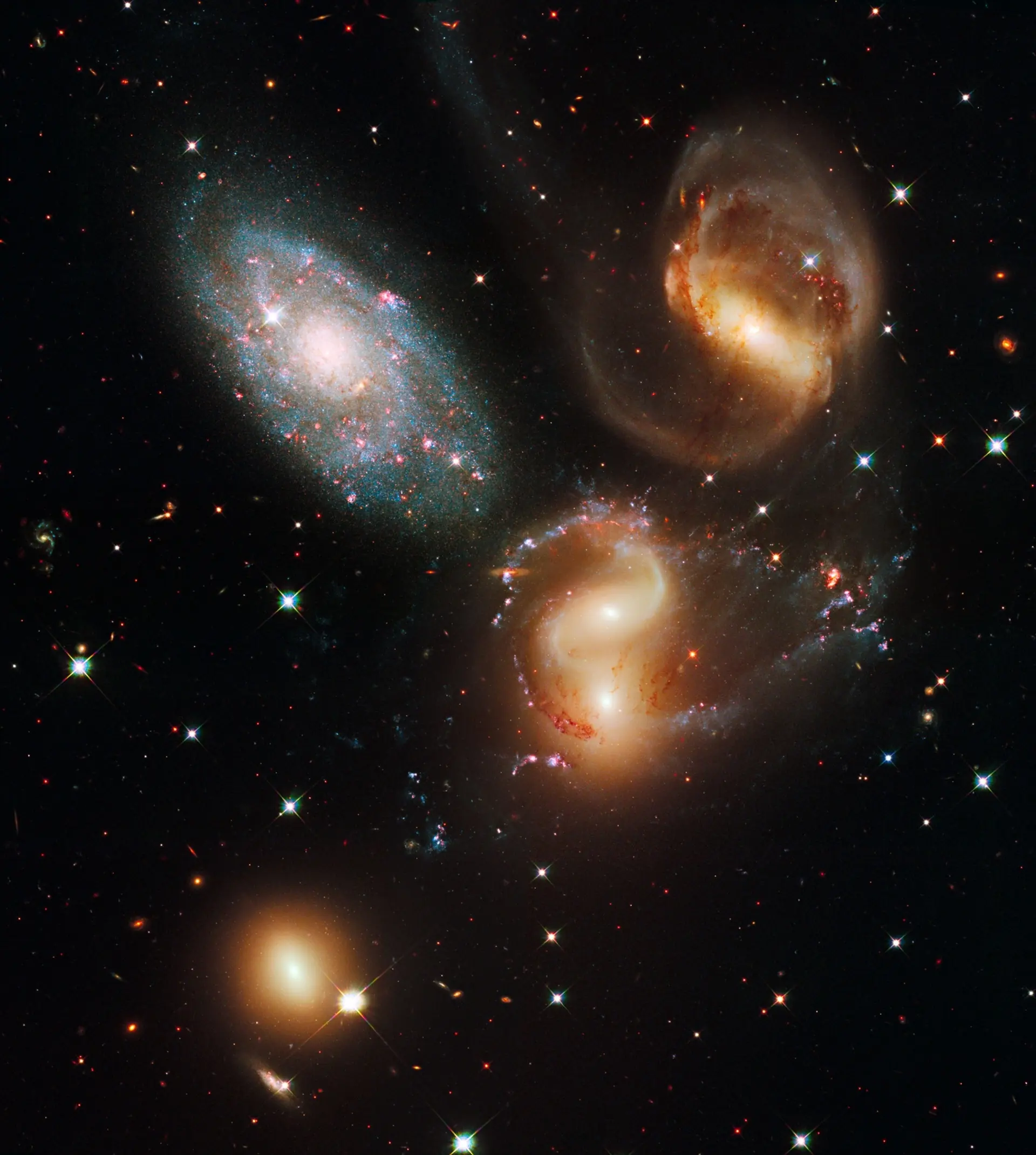 cosmos