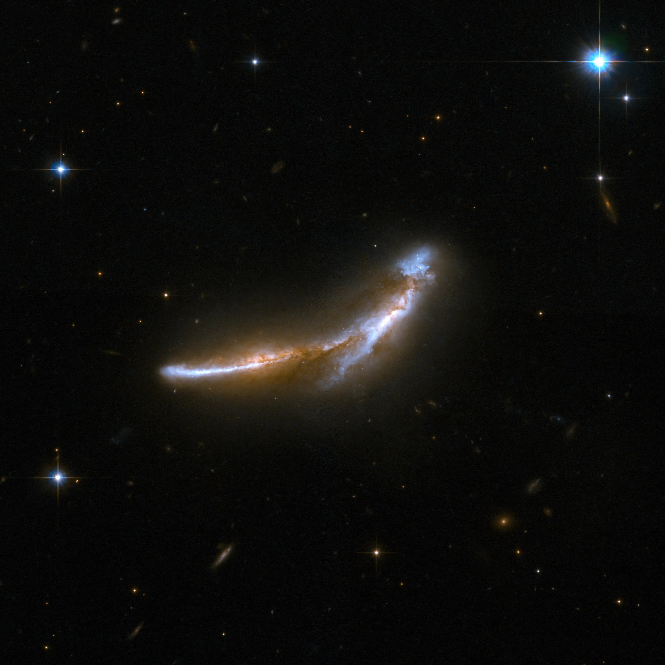 black holes