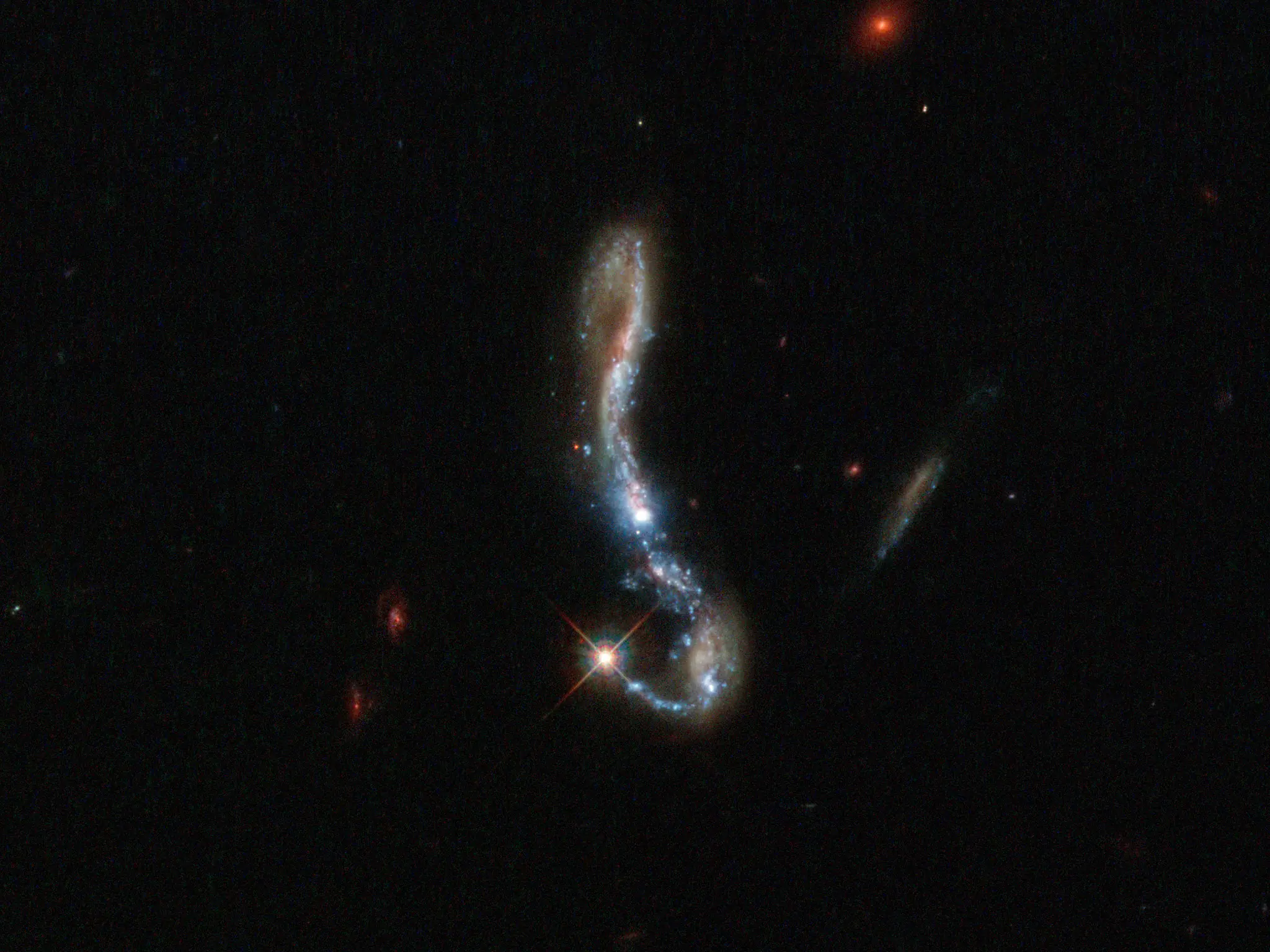 cosmos