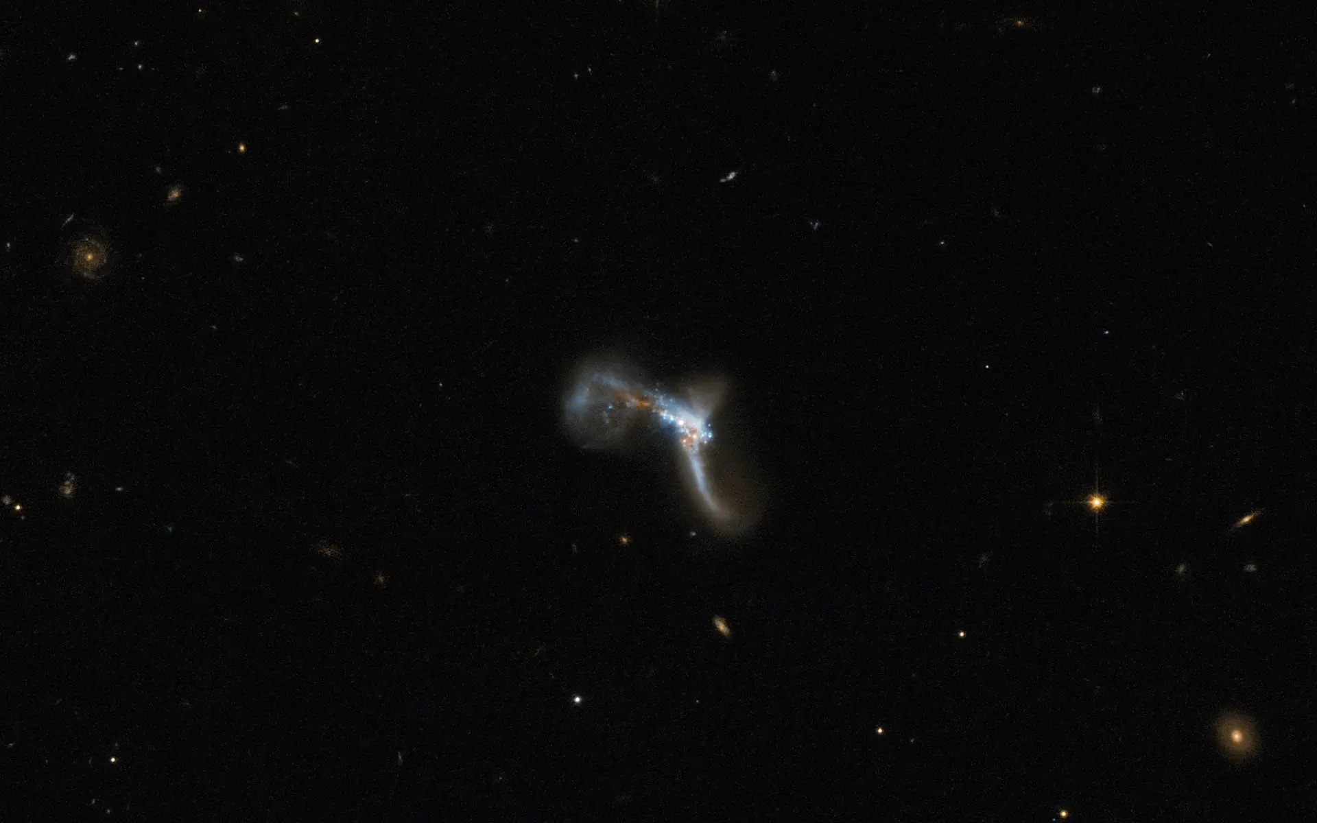 black holes