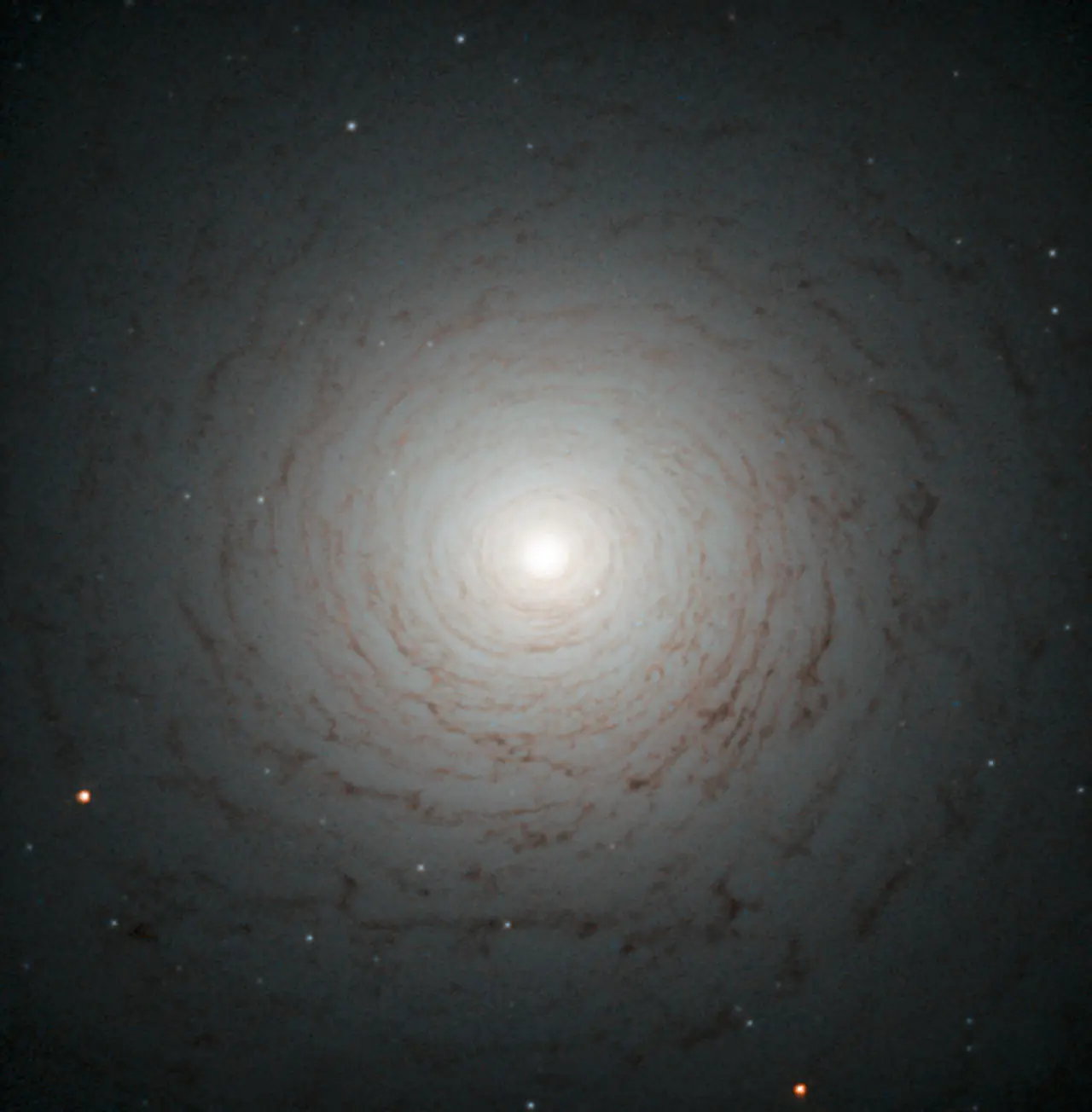 cosmos
