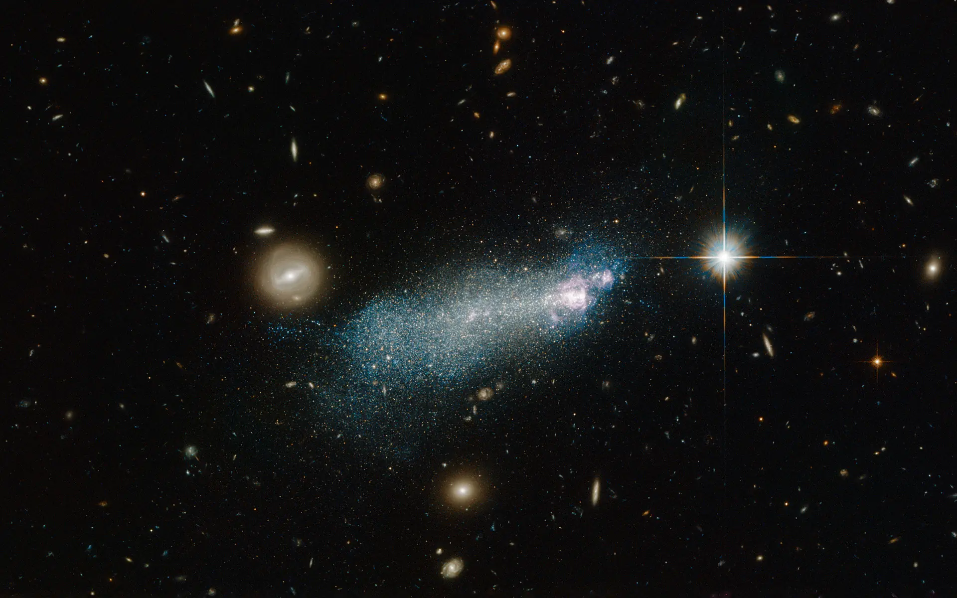 black holes