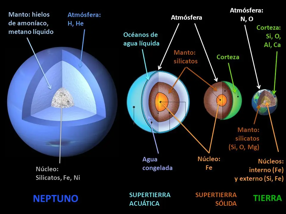 Cansado de política? inteligencia colectiva lince