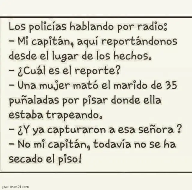 humor humor
