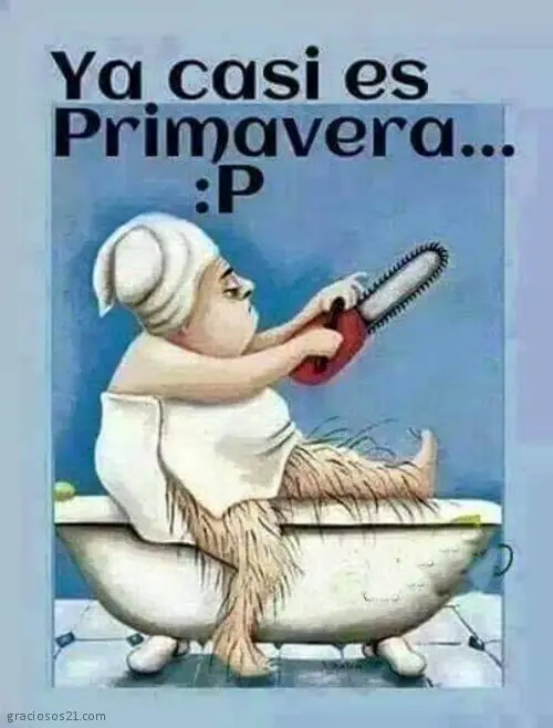 humor humor