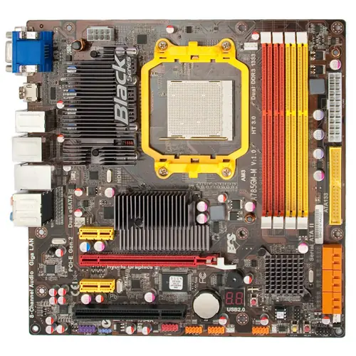 amd amd
