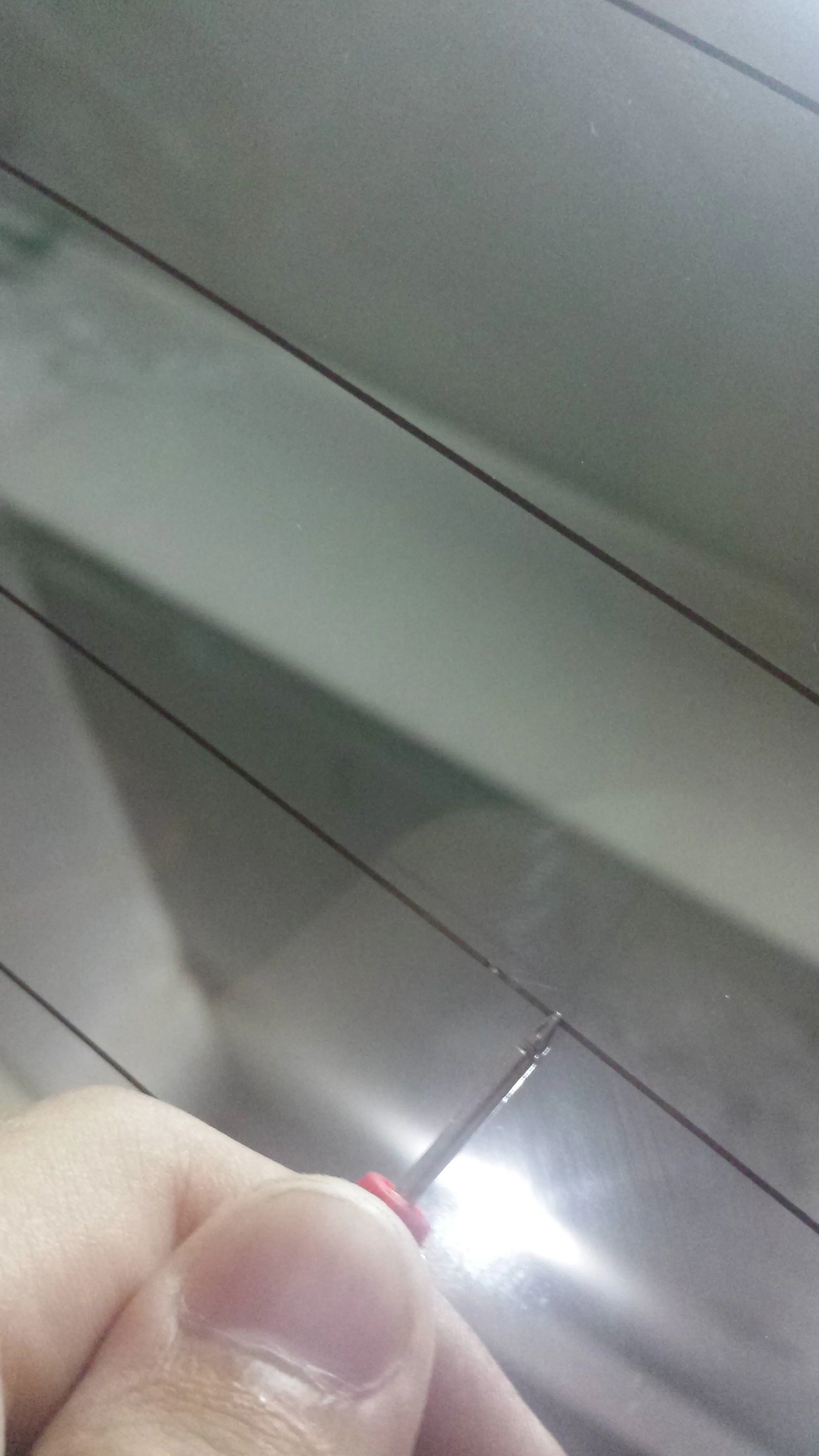 colectiva