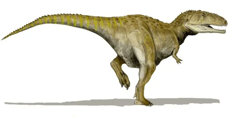 Los 10 grandes dinosaurios carnívoros de todos los tiempos