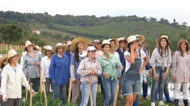 alegria alegria