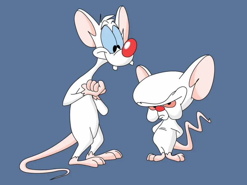 cerebro cerebro