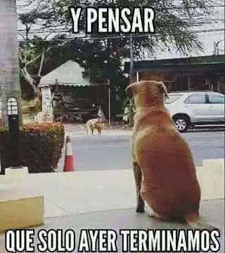diversion