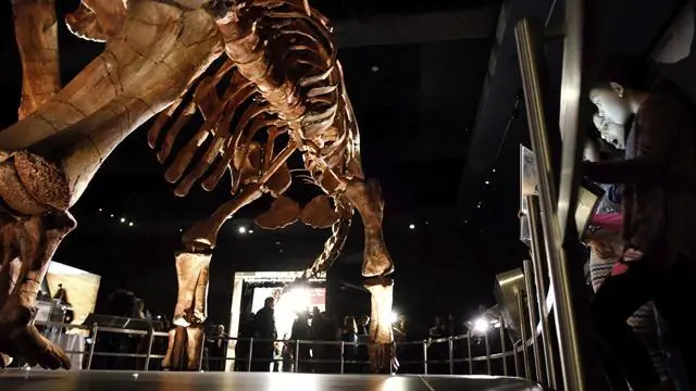 El Titanosaurio Argentino llegó a Nueva York