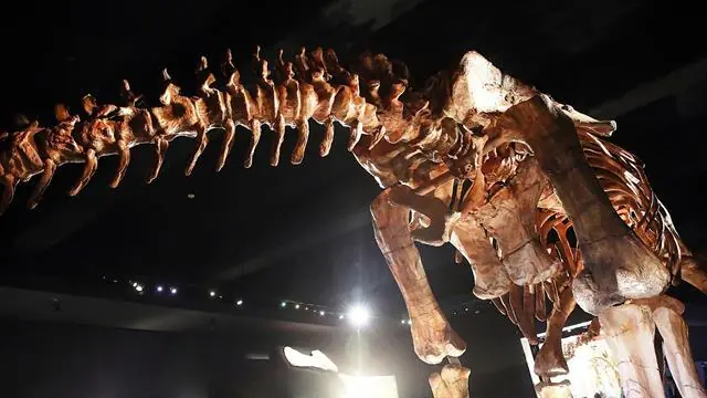 dinosaurio