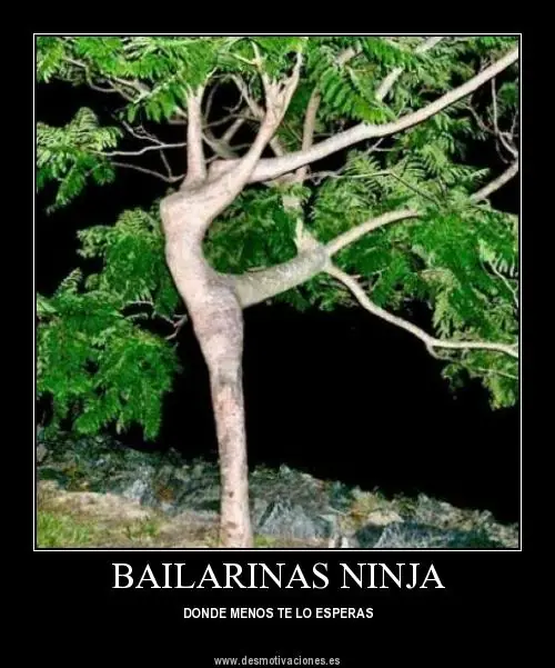 humor