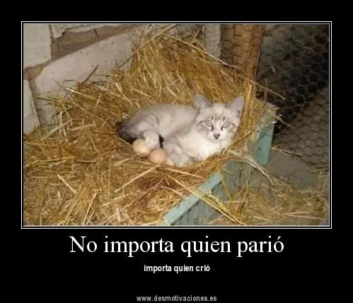 imagenes