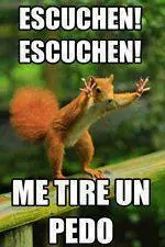 que hacer cuando no tienes nada que hacer que hacer cuando no tienes nada que hacer