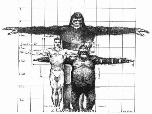 gigantopithecus