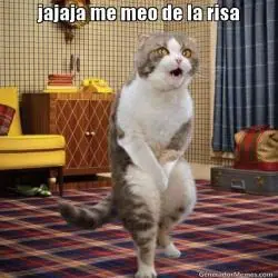 fastidiado fastidiado