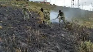 incendios forestales
