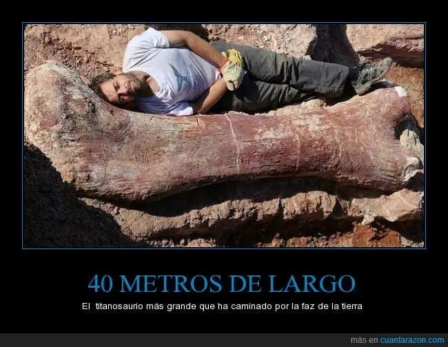 mas grande del mundo mas grande del mundo