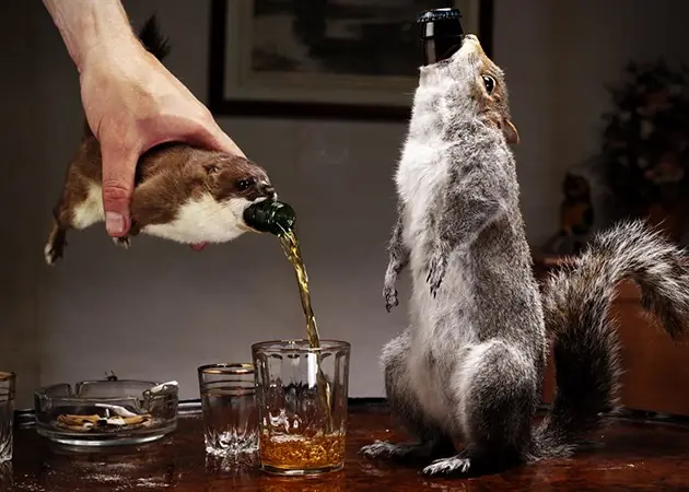 cervezas importadas