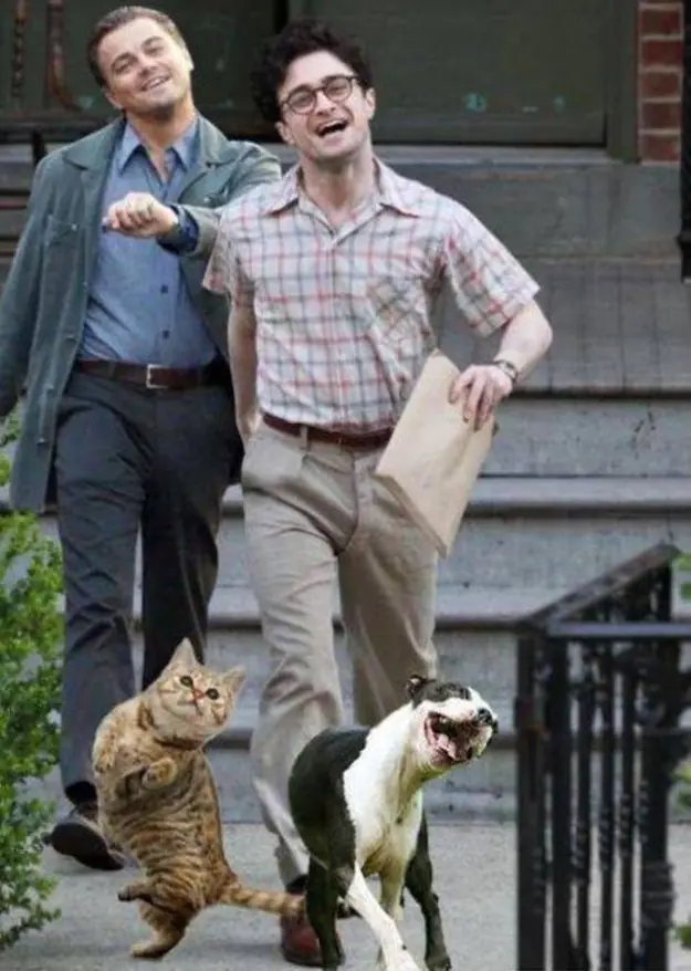Memes de Leonardo DiCaprio que se merecen un Óscar