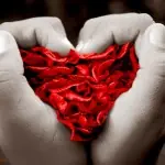 amor
