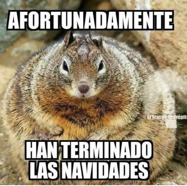 invierno