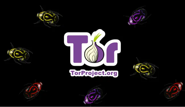 Tor prepara un programa de incentivos que premiará a aquello
