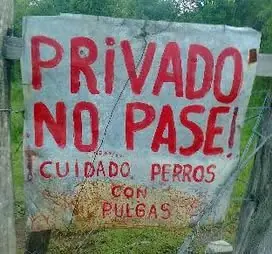 +5 si te reís parte 4
