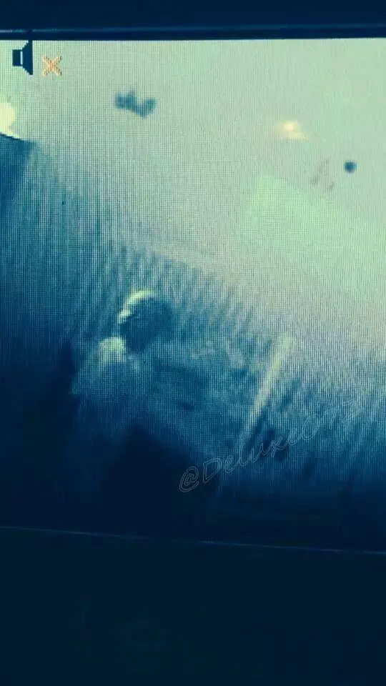 paranormal