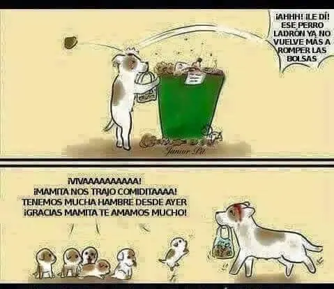 verano