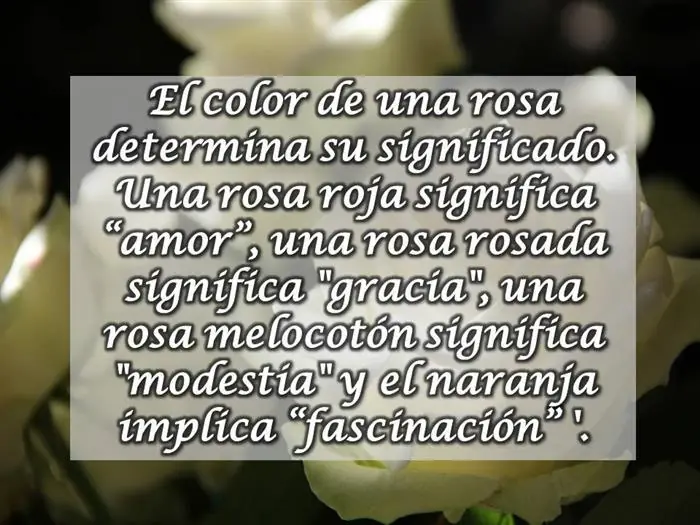 curiosidades