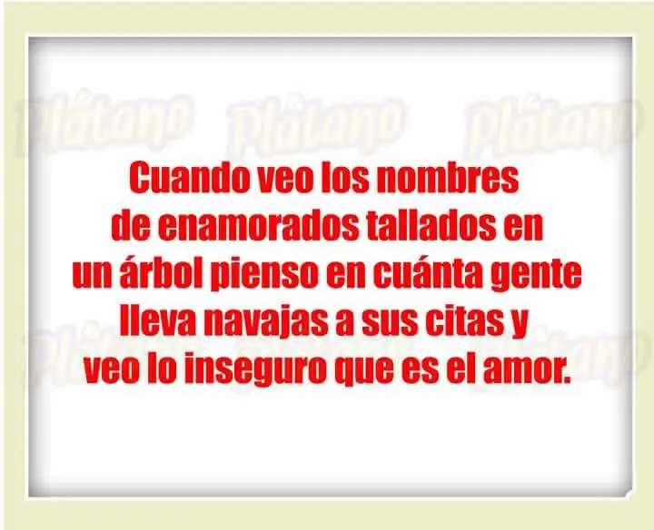 chinos