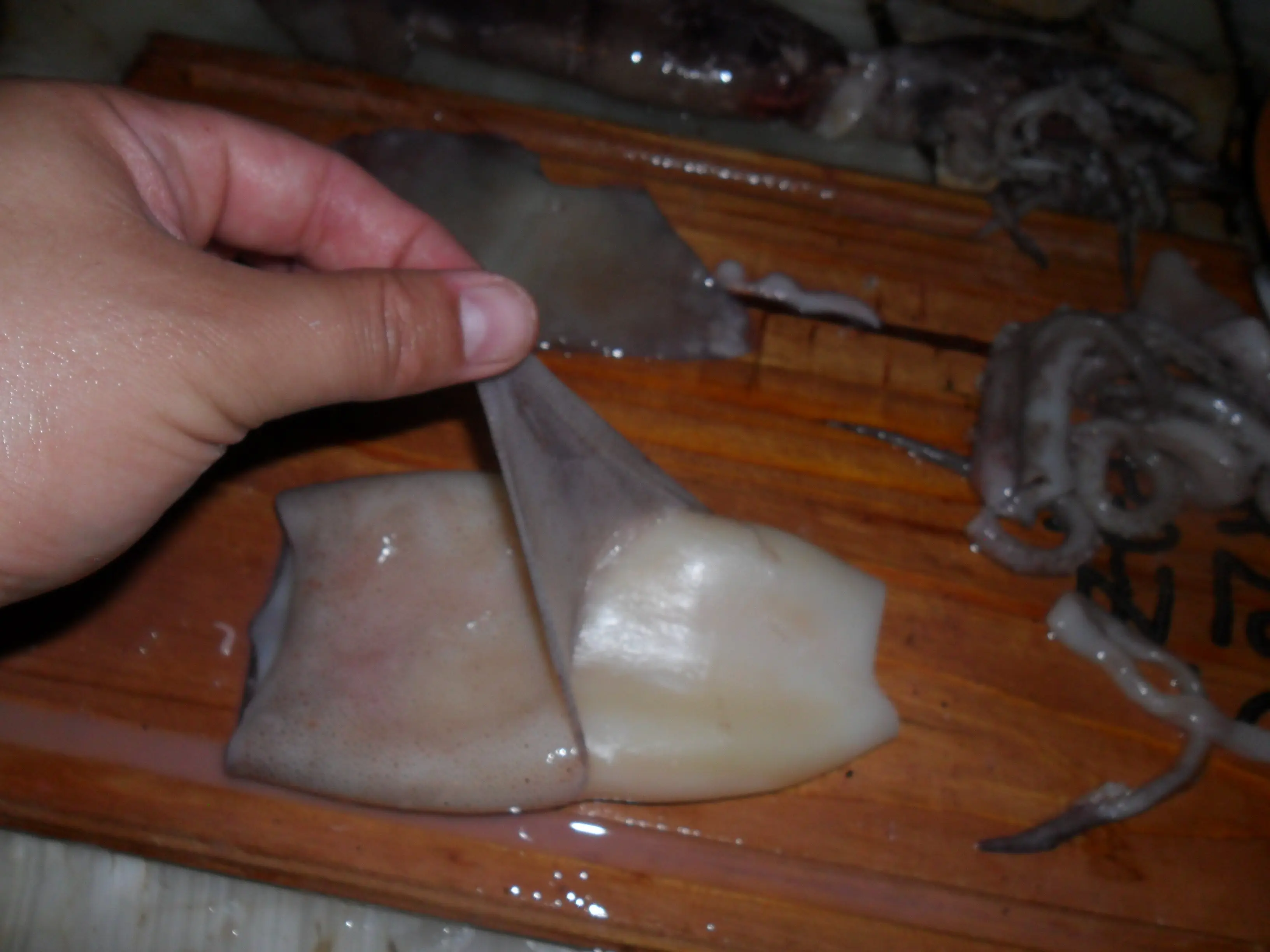 aletas aletas