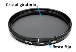 Focal