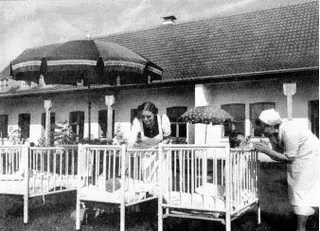 Lebensborn, proyecto demente