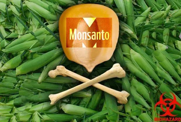 El Dengue una epidemia provocada por cultivos de Monsanto