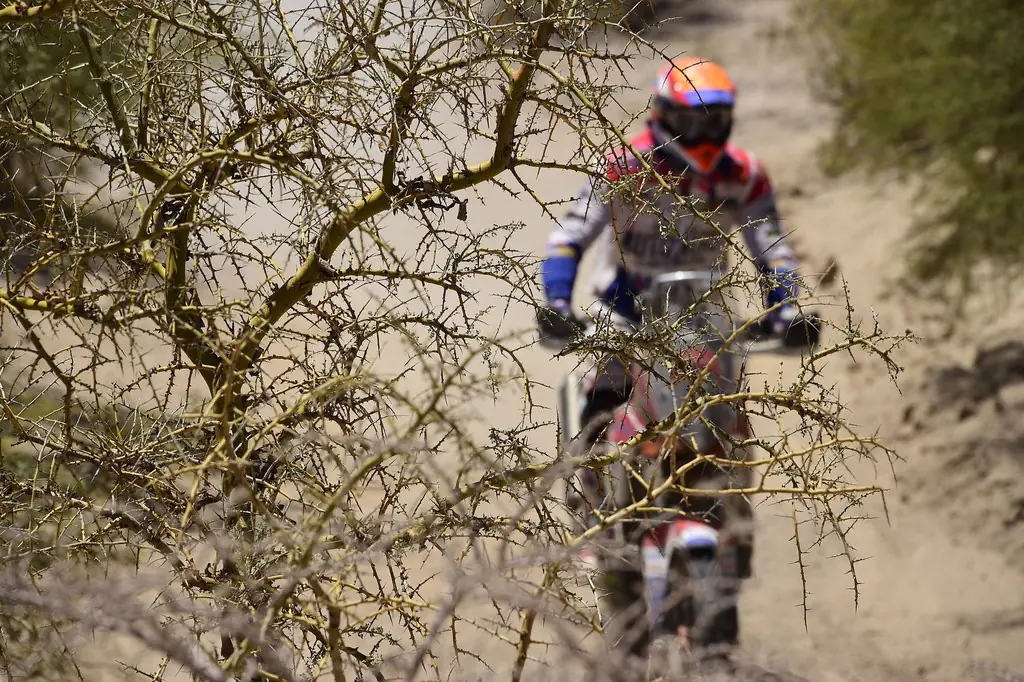 Dakar 2016 Dakar 2016