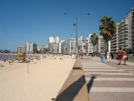 playa playa