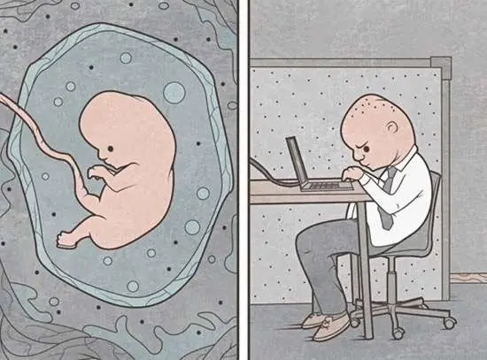 humor grafico