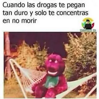 fotos