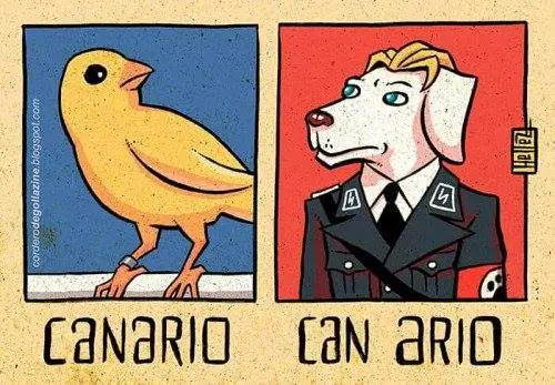 imagenes