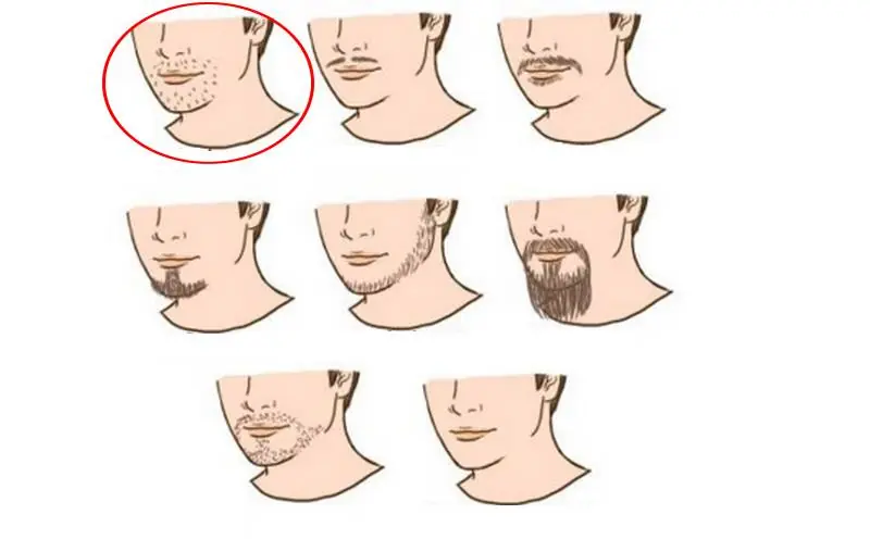 sobre