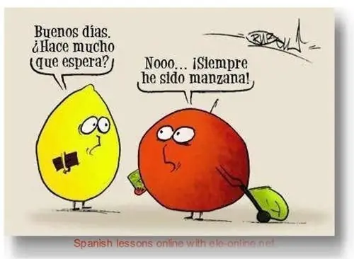 Tonto Tonto