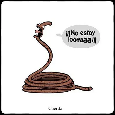 Tonto Tonto
