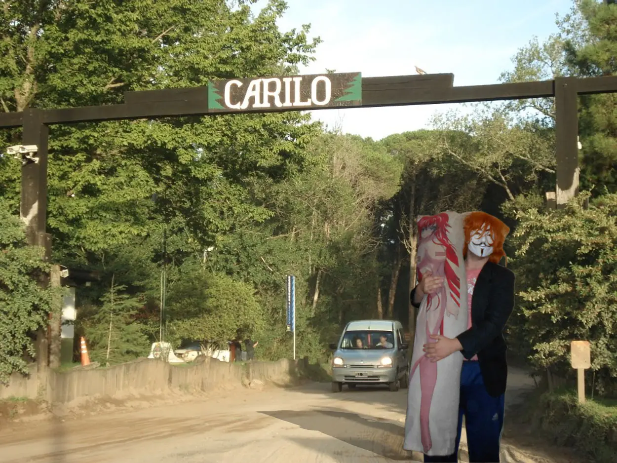 5 pasos para tener una almohada friki feliz (Waifu)