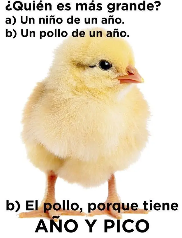 inteligente inteligente